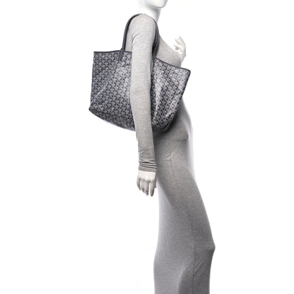 Goyard Goyardine Saint Louis PM Grey 2 of 12