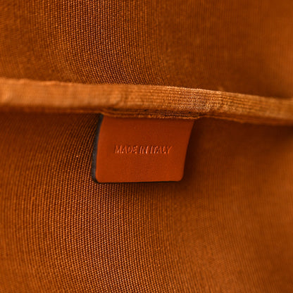 Celine Triomphe Canvas Calfskin Small Bucket Bag Tan 7 of 11