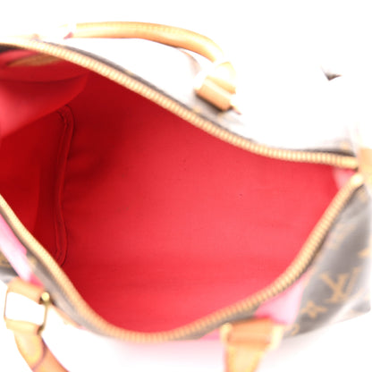 Louis Vuitton Monogram Speedy 30 V Grenade 5 of 10
