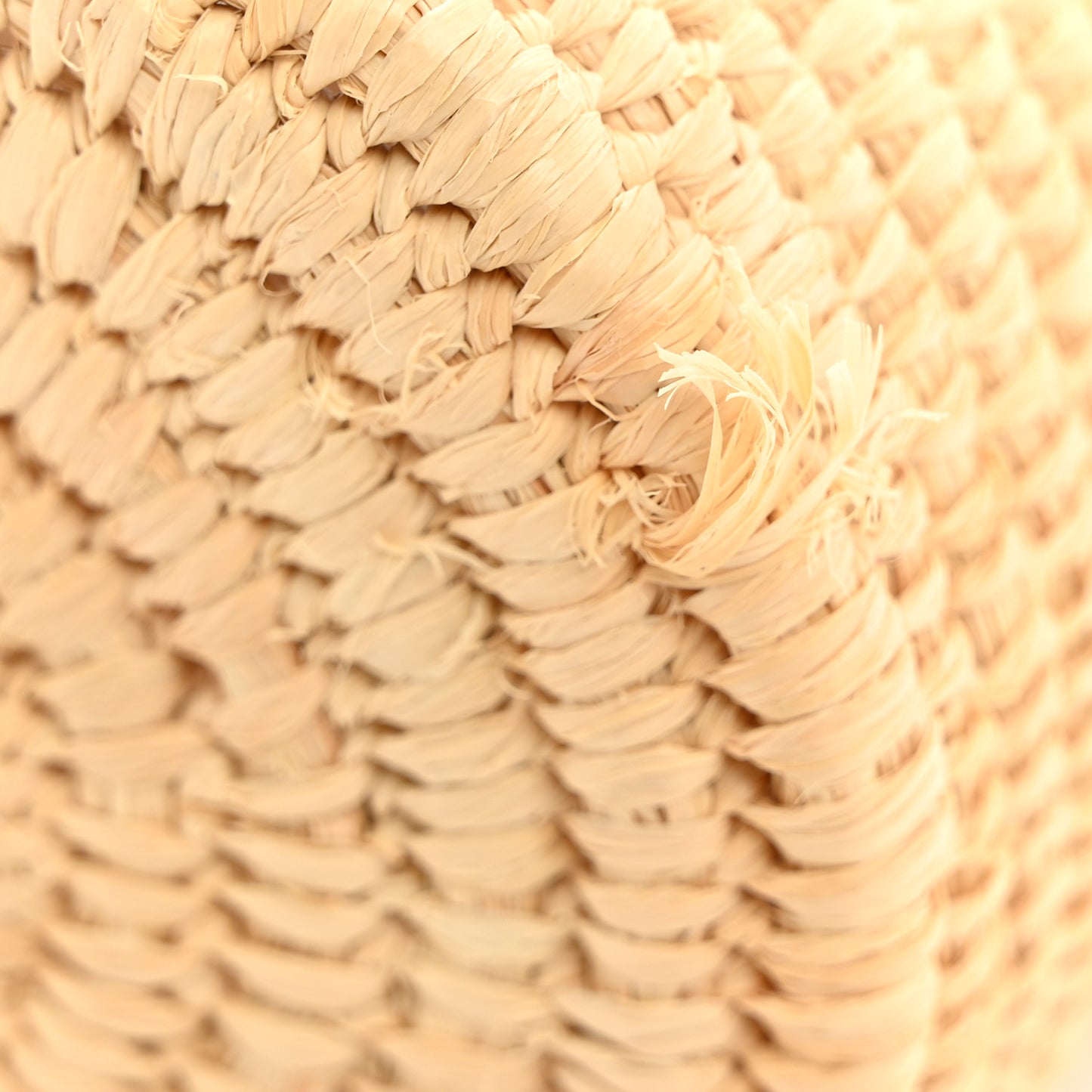 Raffia Square Small Basket Tote Bag Natural White