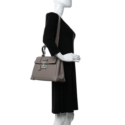 Moynat Taurillon Gex Limousine Bag Touterelle 2 of 11