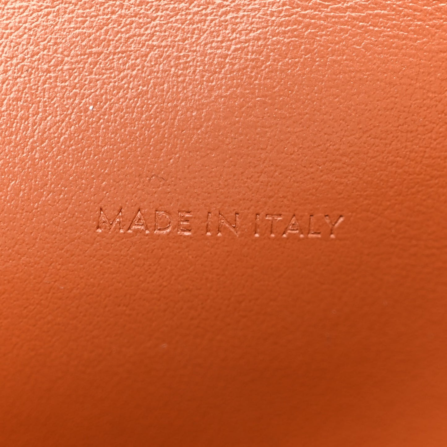 Triomphe Canvas Lambskin Wallet On Strap Tan