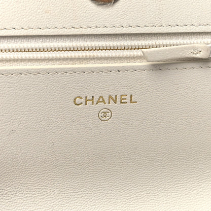 Chanel Printed Goatskin Quilted Chanel 19 Wallet On Chain WOC White Multicolor 6 of 14