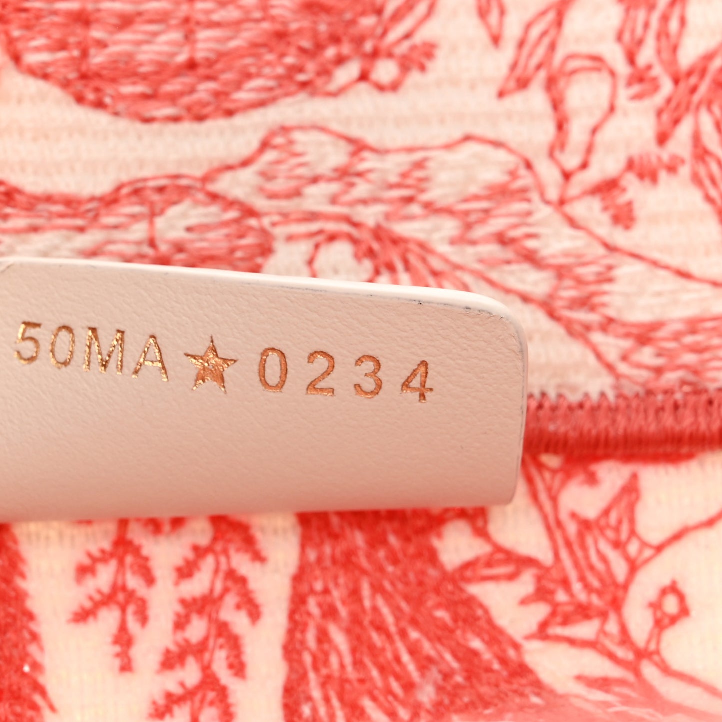 Canvas Embroidered Medium Toile de Jouy Soleil Book Tote Coral