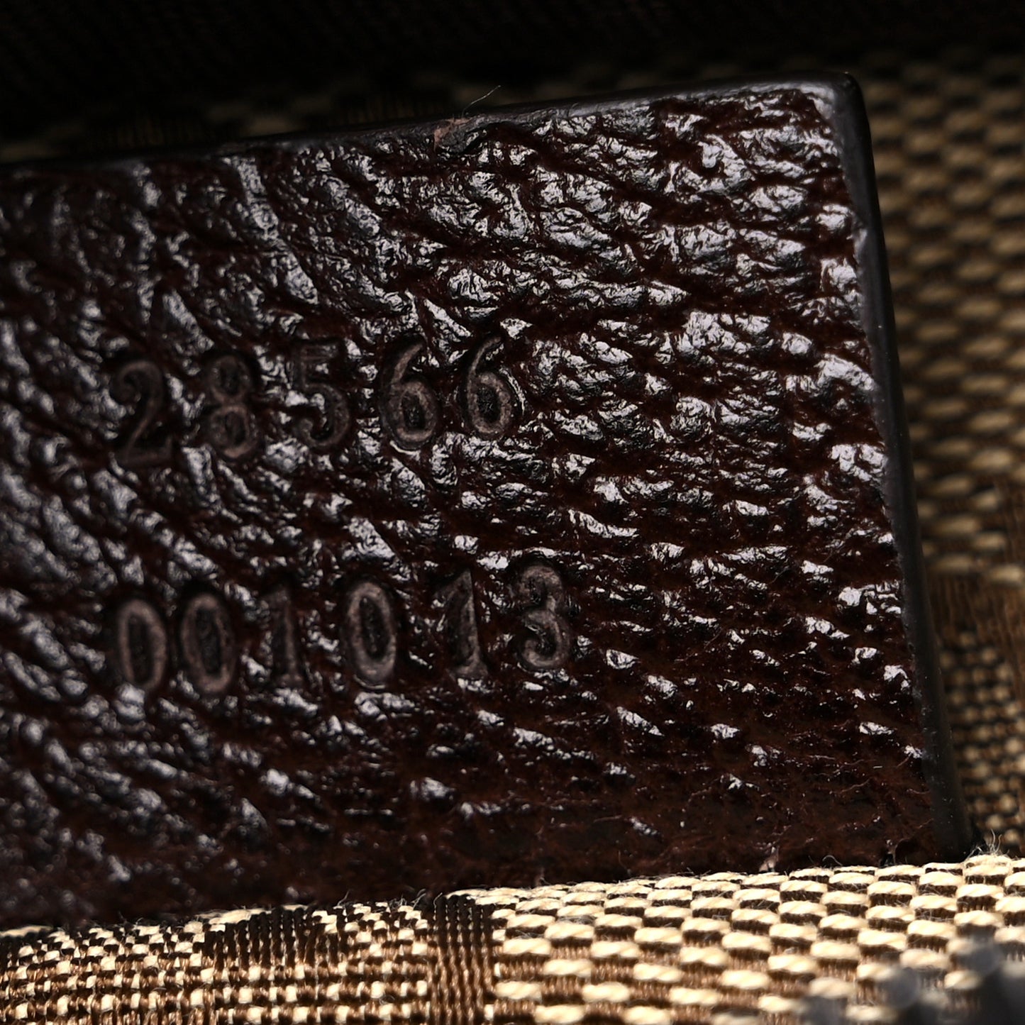Monogram Web Belt Bag Dark Brown