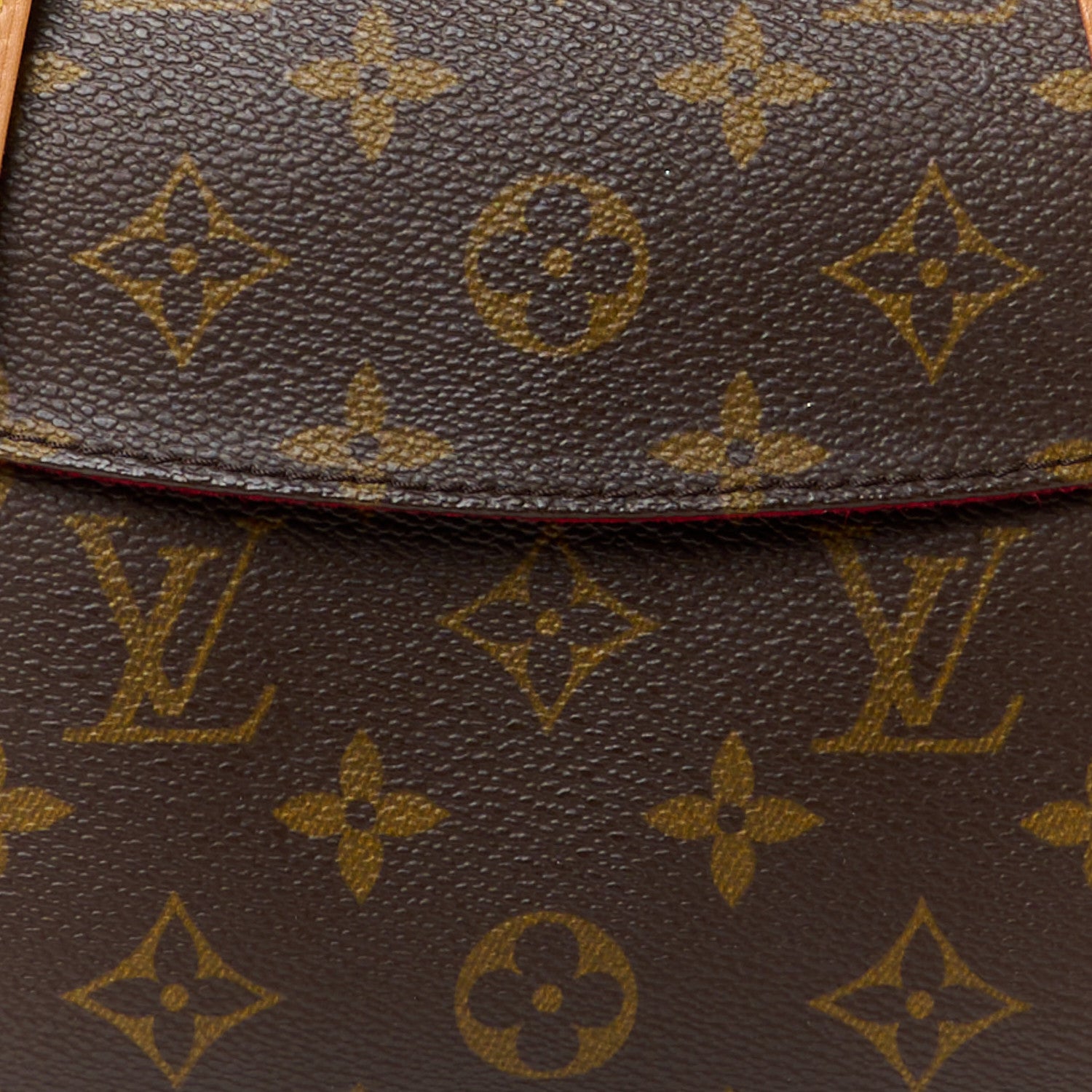Louis Vuitton Monogram Sonatine 8 of 11