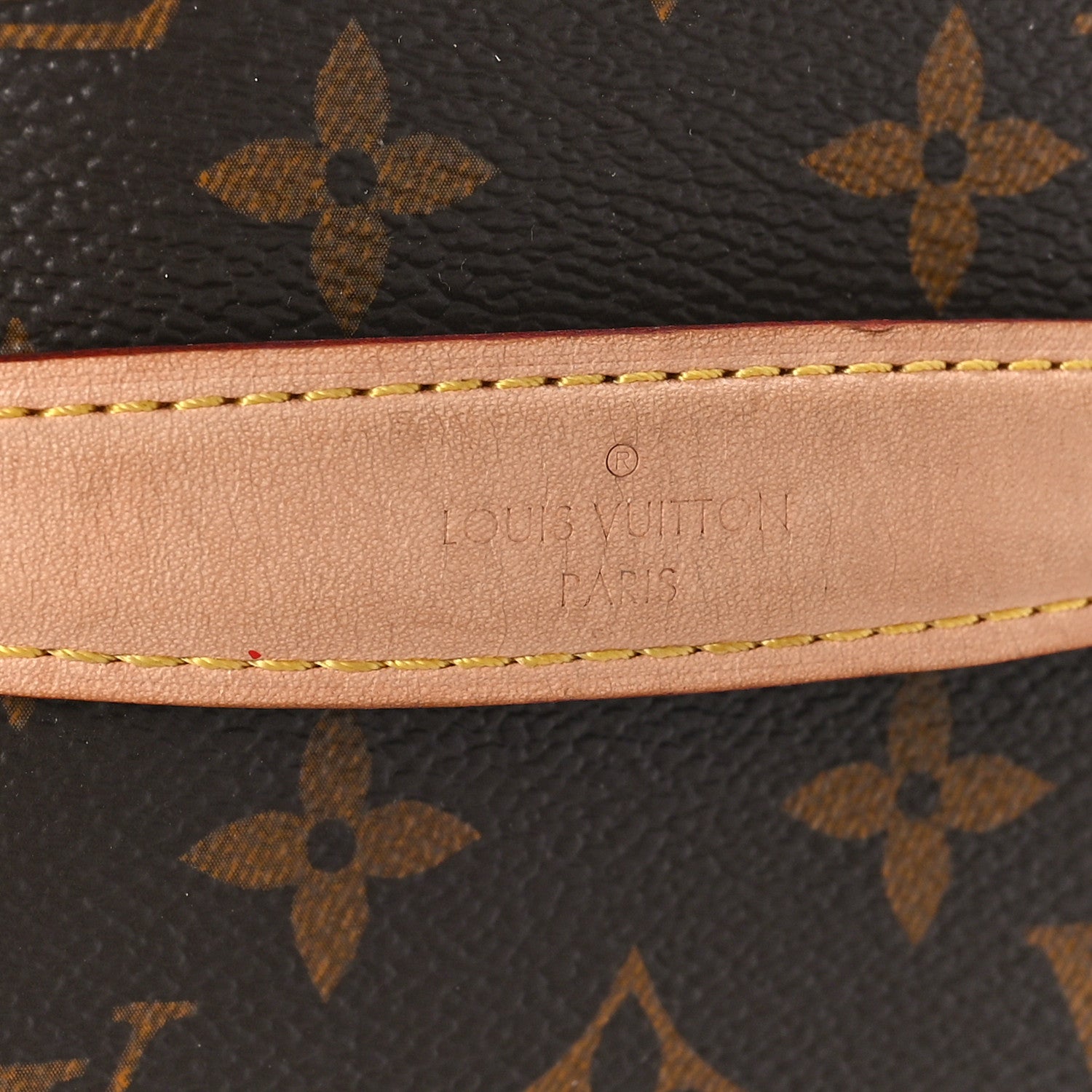 Louis Vuitton Monogram Nice Mini 8 of 11