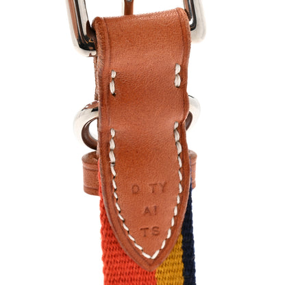 Hermes Toile Natural Bridle Robocar II Dog Collar S Dark Irish 5 of 6