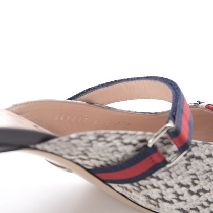 Gucci Elaphe Snakeskin Sylvie Web Cross Strap Mid-Heel Slides 40.5 New Roccia 6 of 10