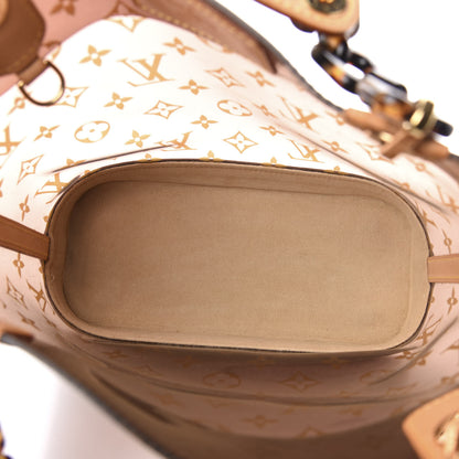 Louis Vuitton Vinyl Cabas Ambre PM 5 of 10