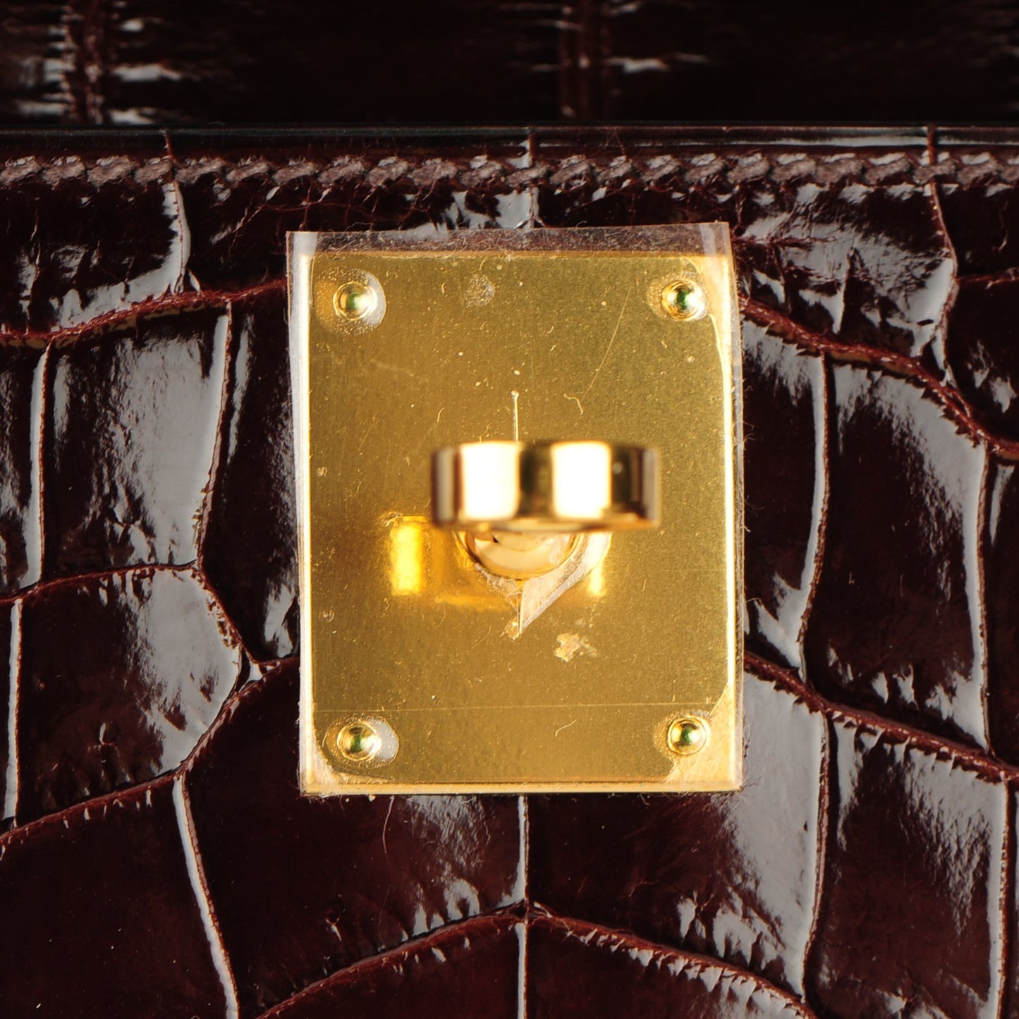 Shiny Niloticus Crocodile Kelly Cut Pochette Havane