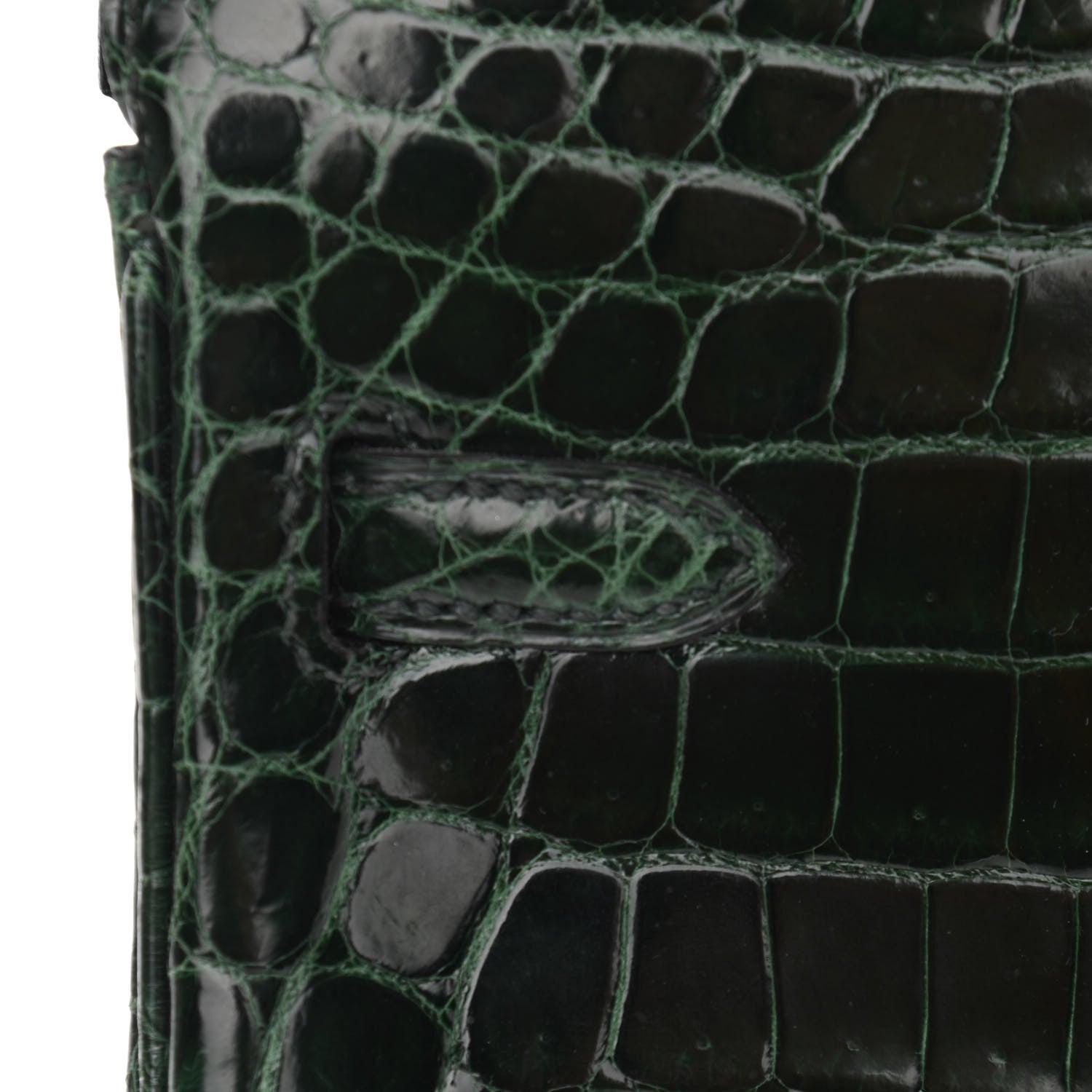 Hermes Shiny Niloticus Crocodile Birkin 25 Vert Fonce 12 of 32