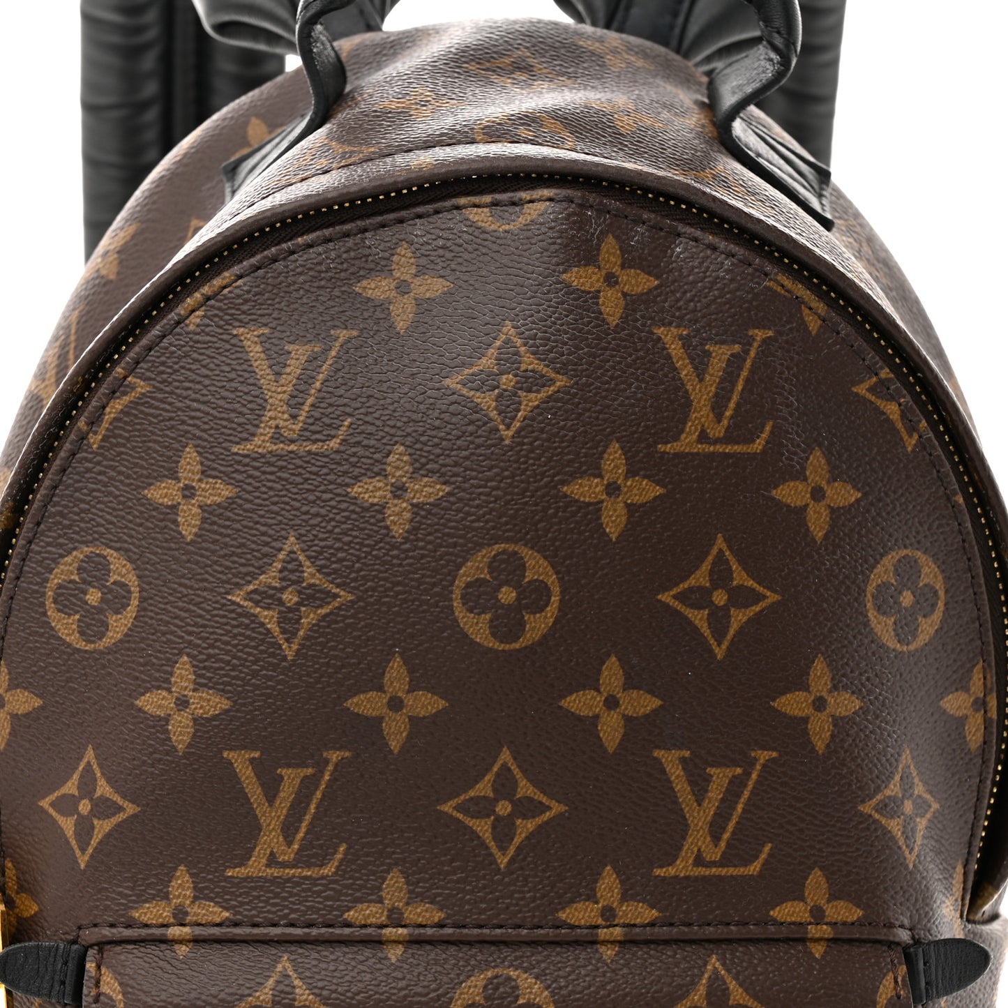 Monogram Palm Springs Backpack PM