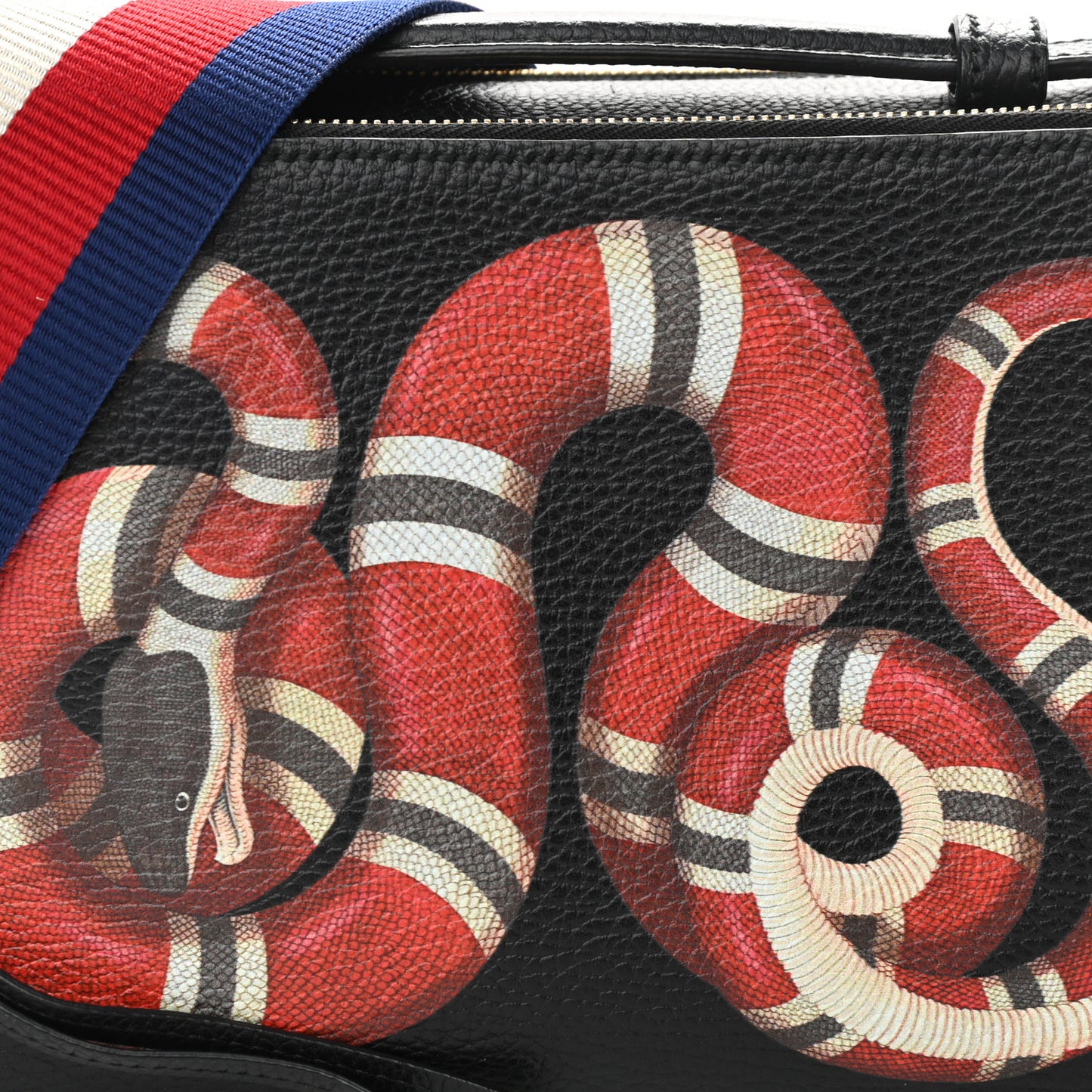 Grained Calfskin Sylvie Web Kingsnake Small Camera Bag Black Multicolor