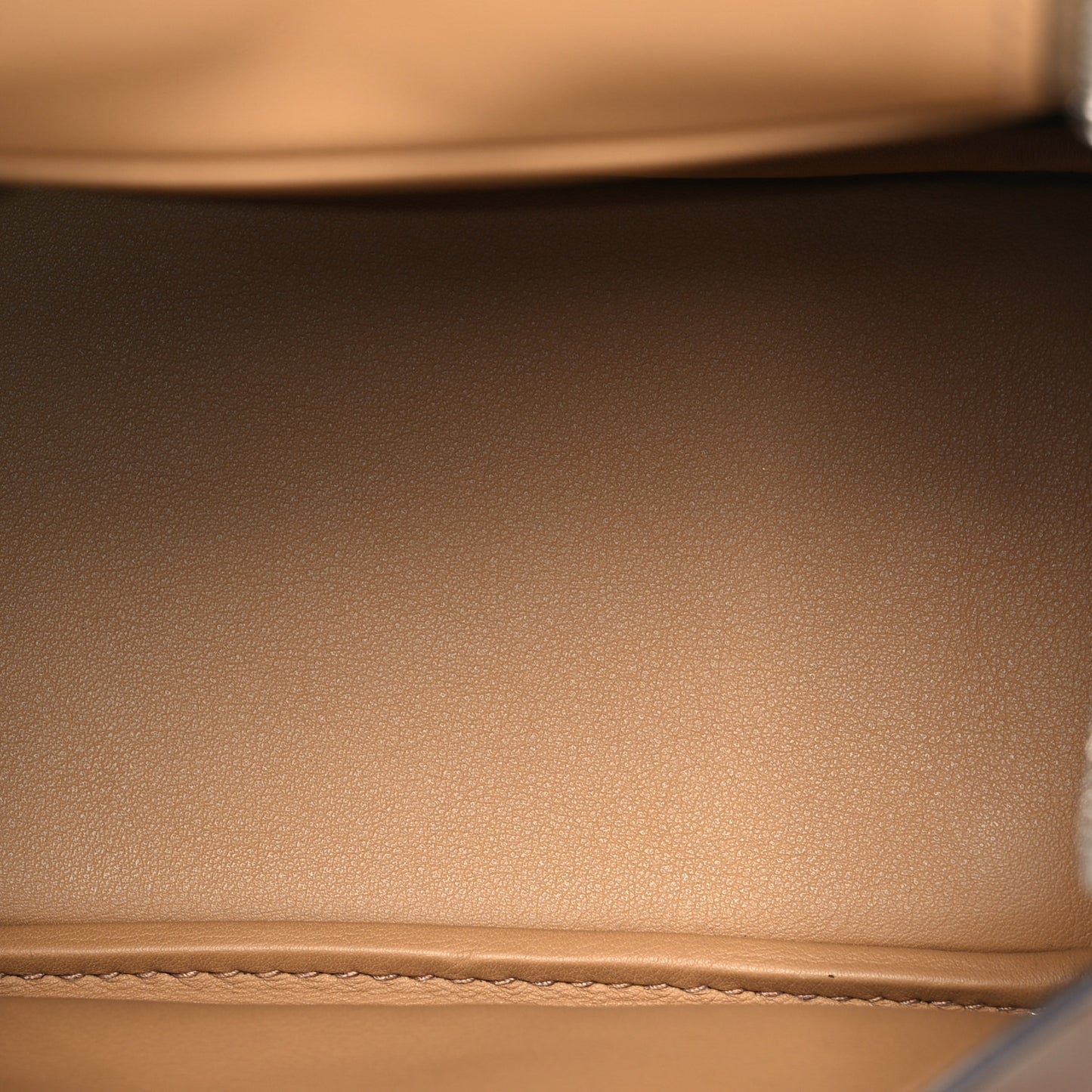 Swift Verso Mini Lindy 20 Alezan Biscuit