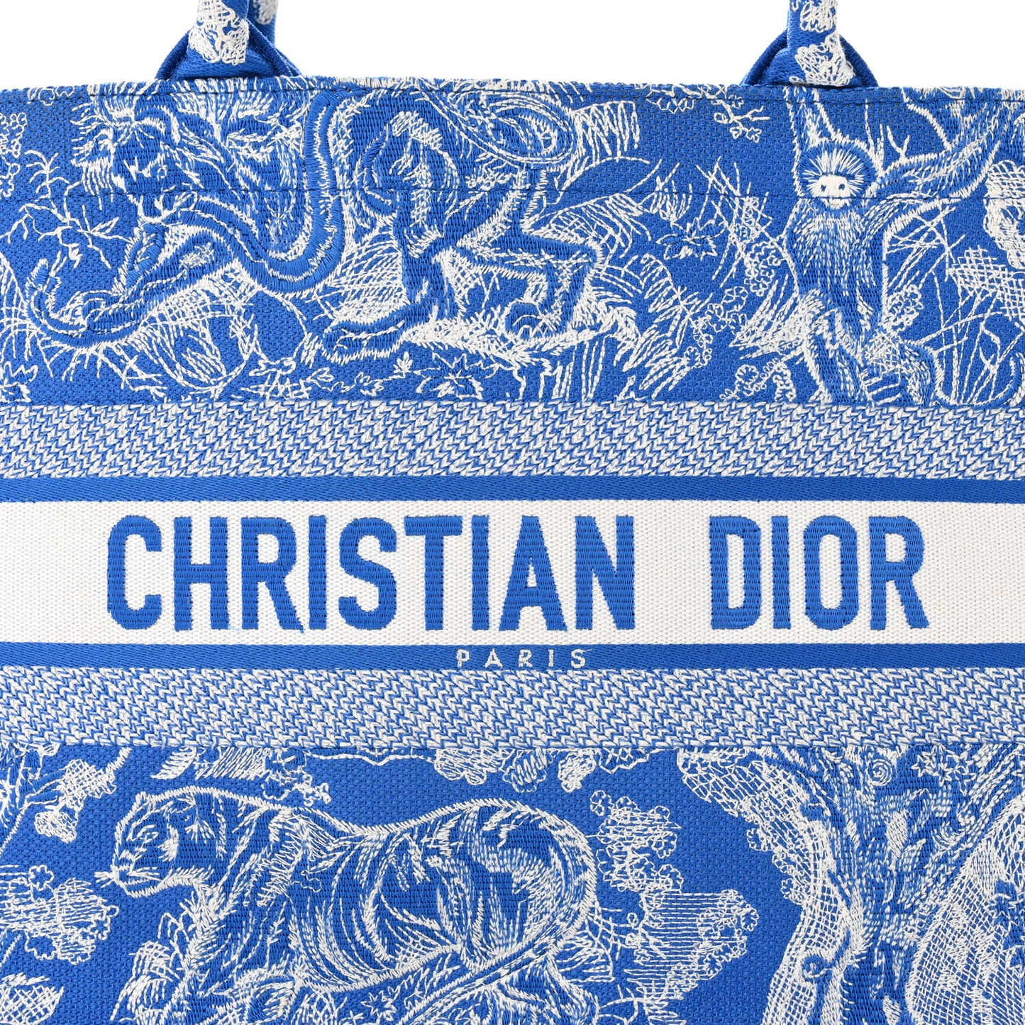 Canvas Embroidered Medium Dioriviera Toile De Jouy Book Tote Fluorescent Blue