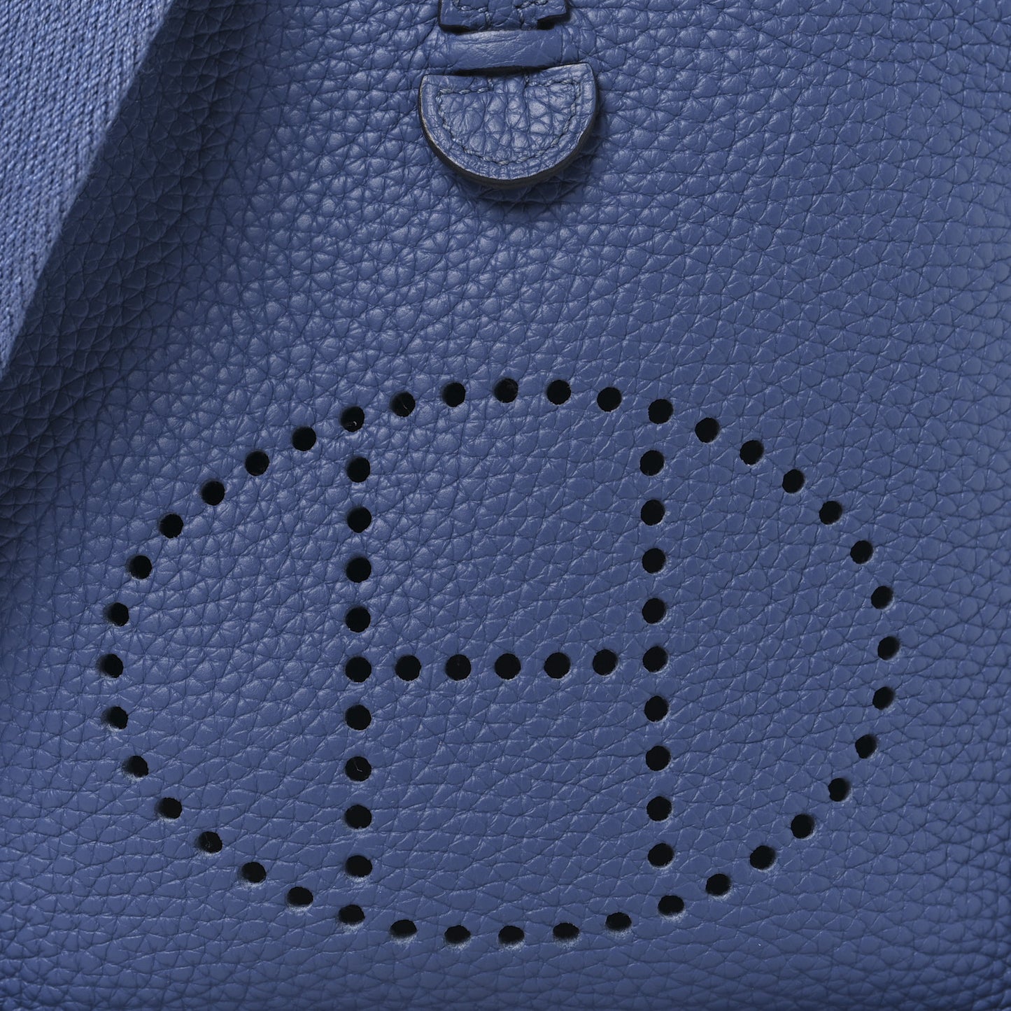 Taurillon Clemence Evelyne TPM Bleu Brighton