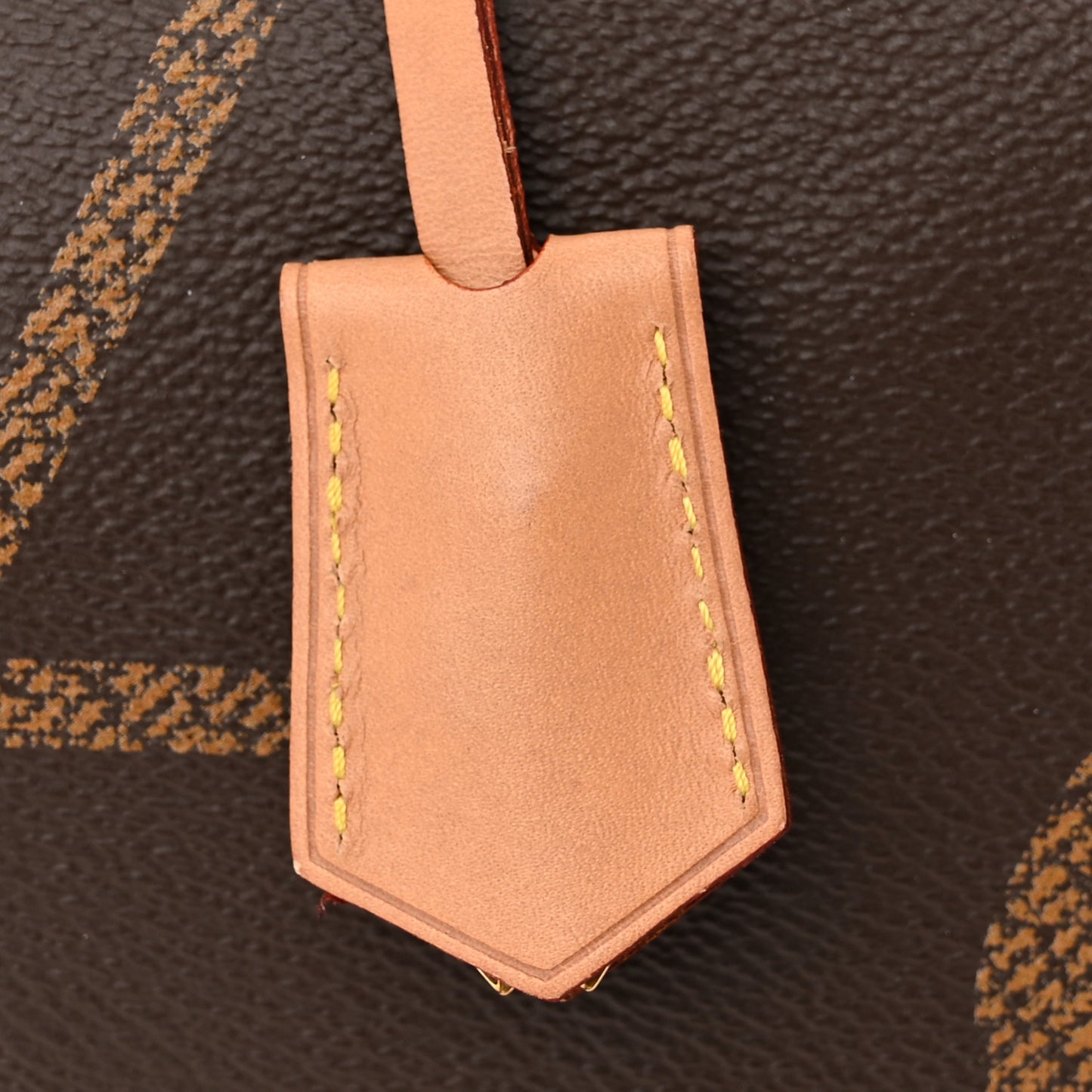 Reverse Monogram Giant Speedy Bandouliere 30