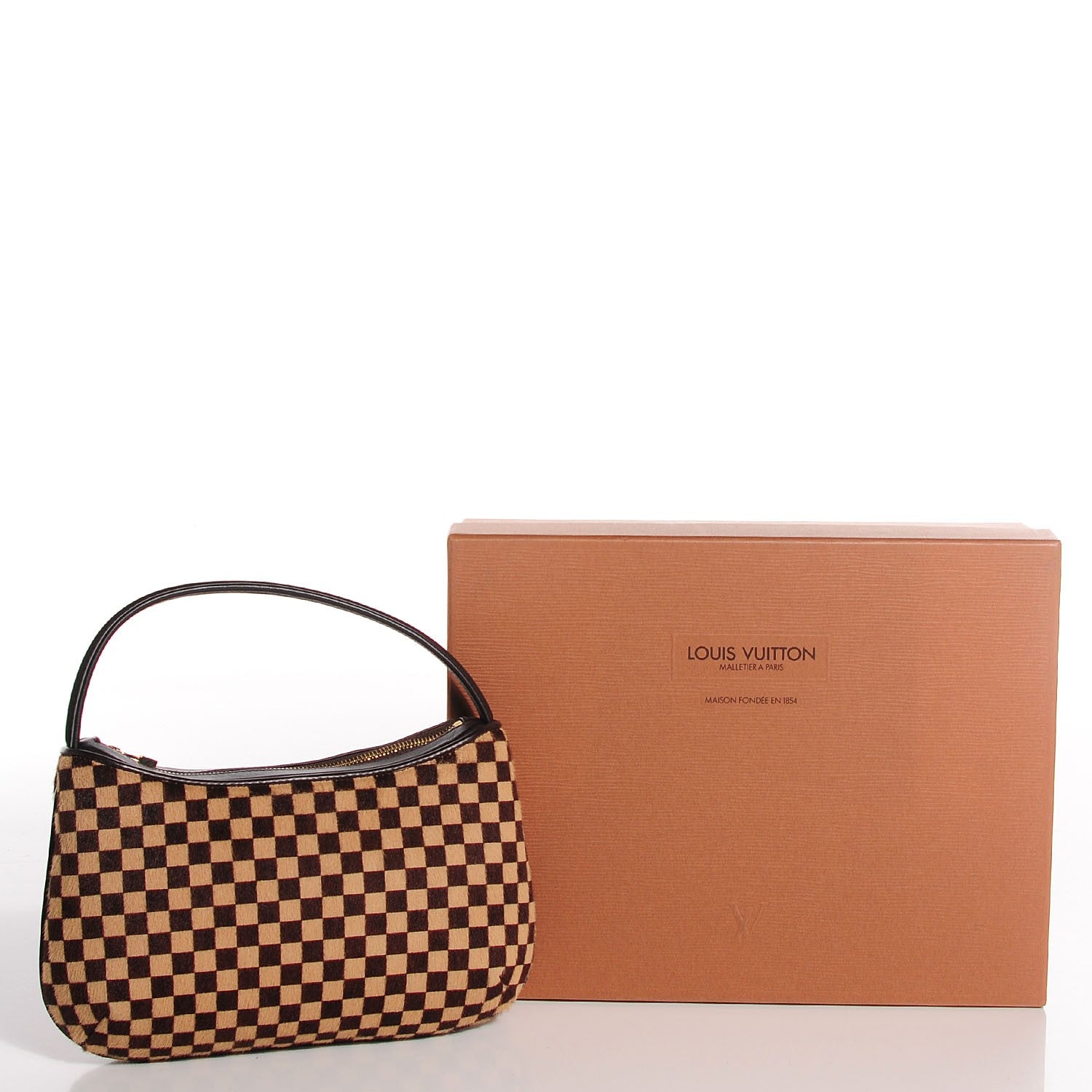 Louis Vuitton Calf Hair Damier Sauvage Tigre 8 of 8
