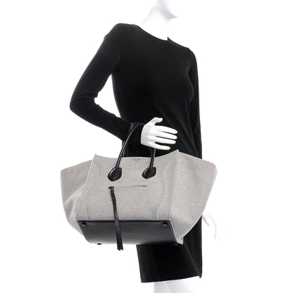 Celine Felt Medium Phantom Luggage Pearl Grey 2 of 13