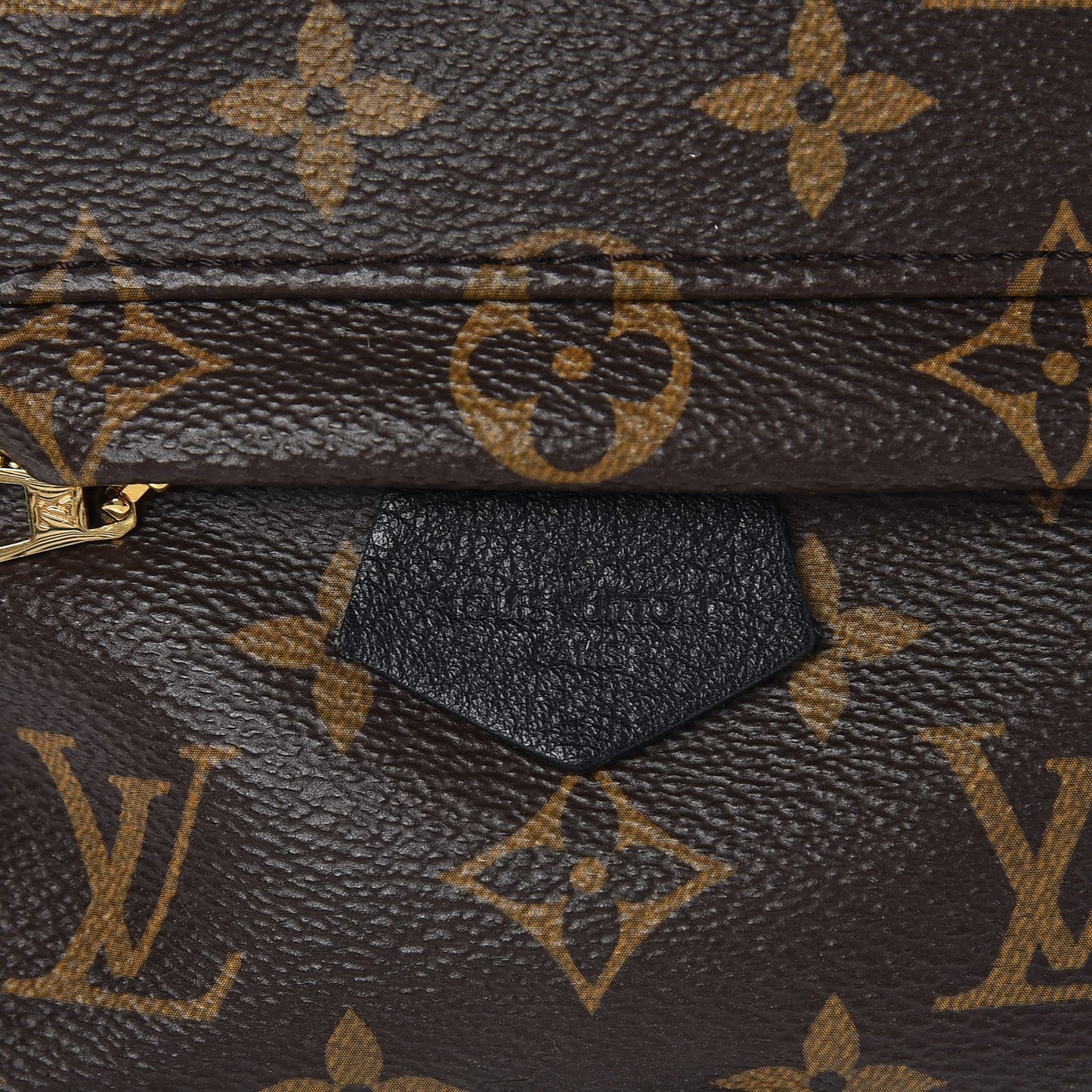 Monogram Palm Springs Backpack Mini