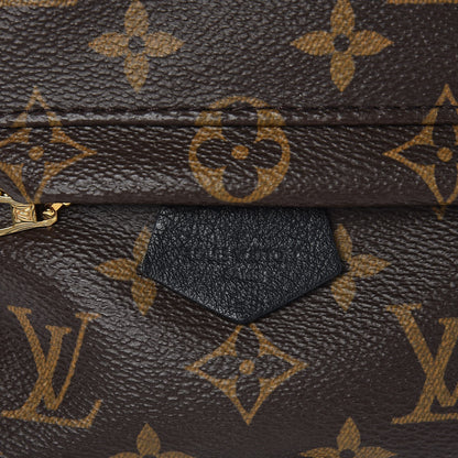 Louis Vuitton Monogram Palm Springs Backpack Mini 8 of 8