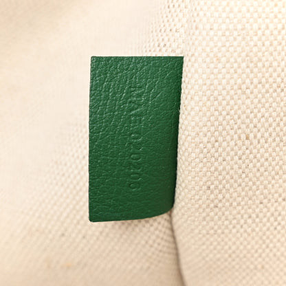 Goyard Goyardine Villette Tote Green 7 of 13
