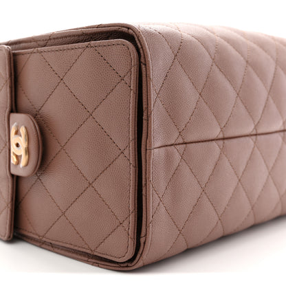 Chanel Caviar Quilted Small Chanel 25 Handbag Brown 9 of 10