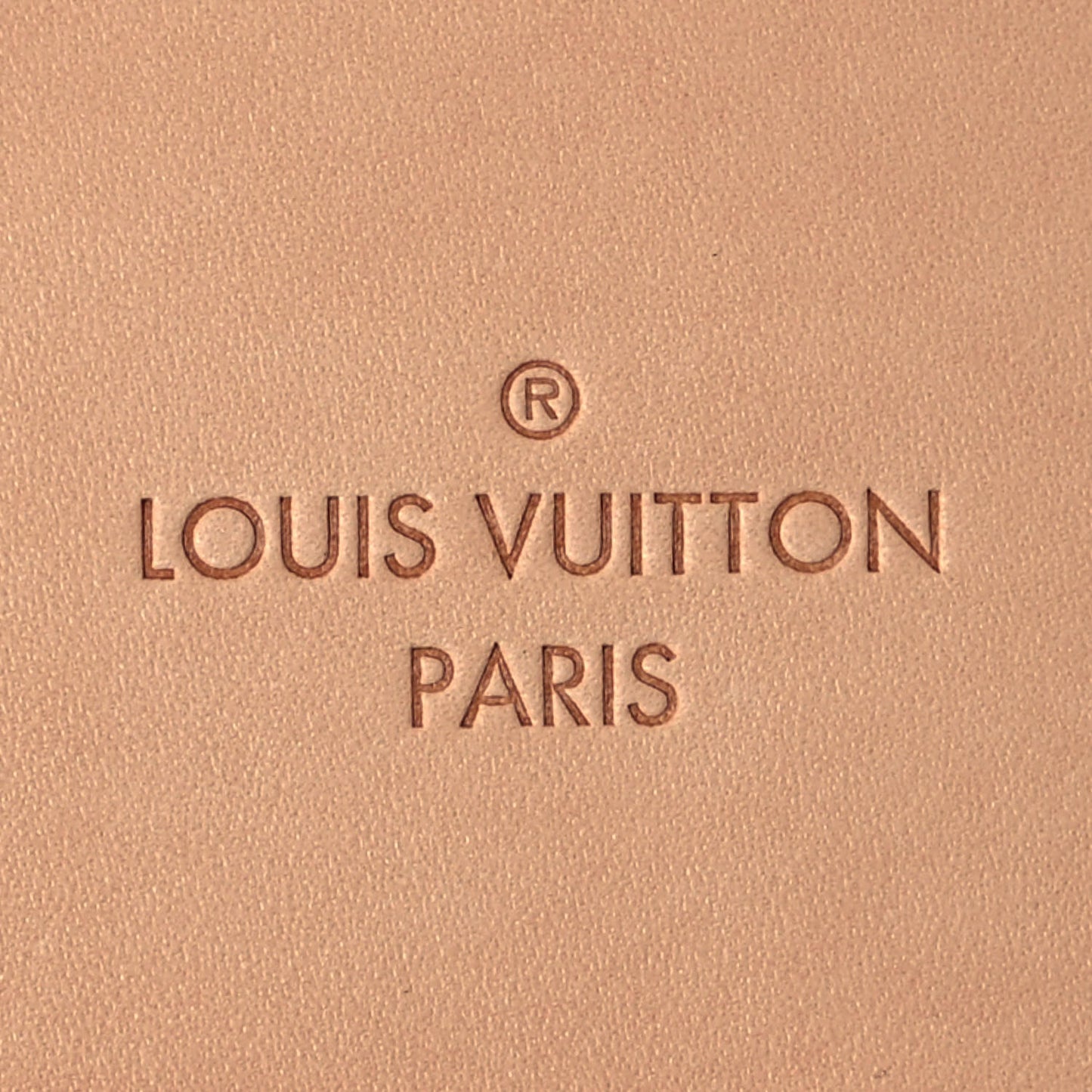 Monogram Pegase Legere 55