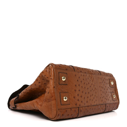 Mulberry Ostrich Bayswater Oak 3 of 8
