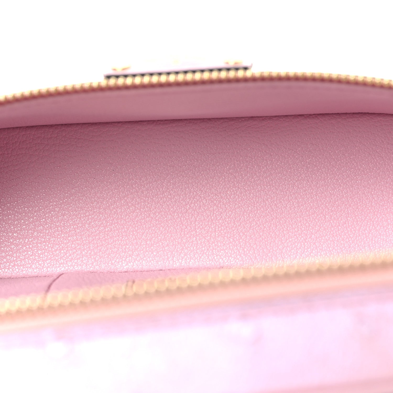 Louis Vuitton Ostrich Vanity Chain Pouch Pink 5 of 10