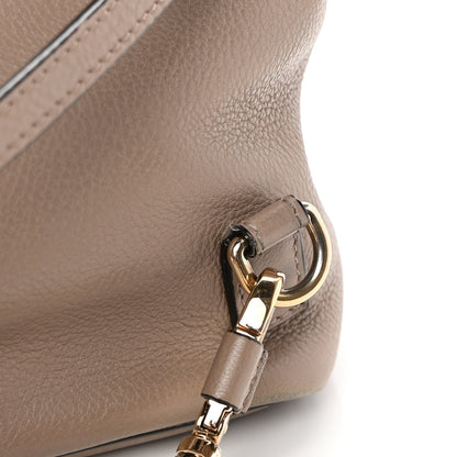 Chloe Suede Calfskin Medium Faye Backpack Motty Grey 20 of 21