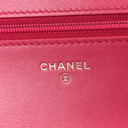 Chanel Shiny Goatskin Quilted Chanel 19 Wallet On Chain WOC Pink 6 of 11