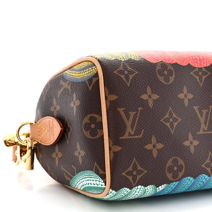 Louis Vuitton LV X YK Monogram Pumpkins Speedy Bandouliere 20 8 of 10