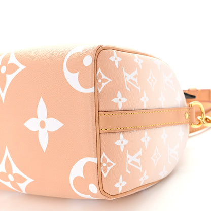 Louis Vuitton Monogram Giant By The Pool Speedy Bandouliere 25 Brume 10 of 10