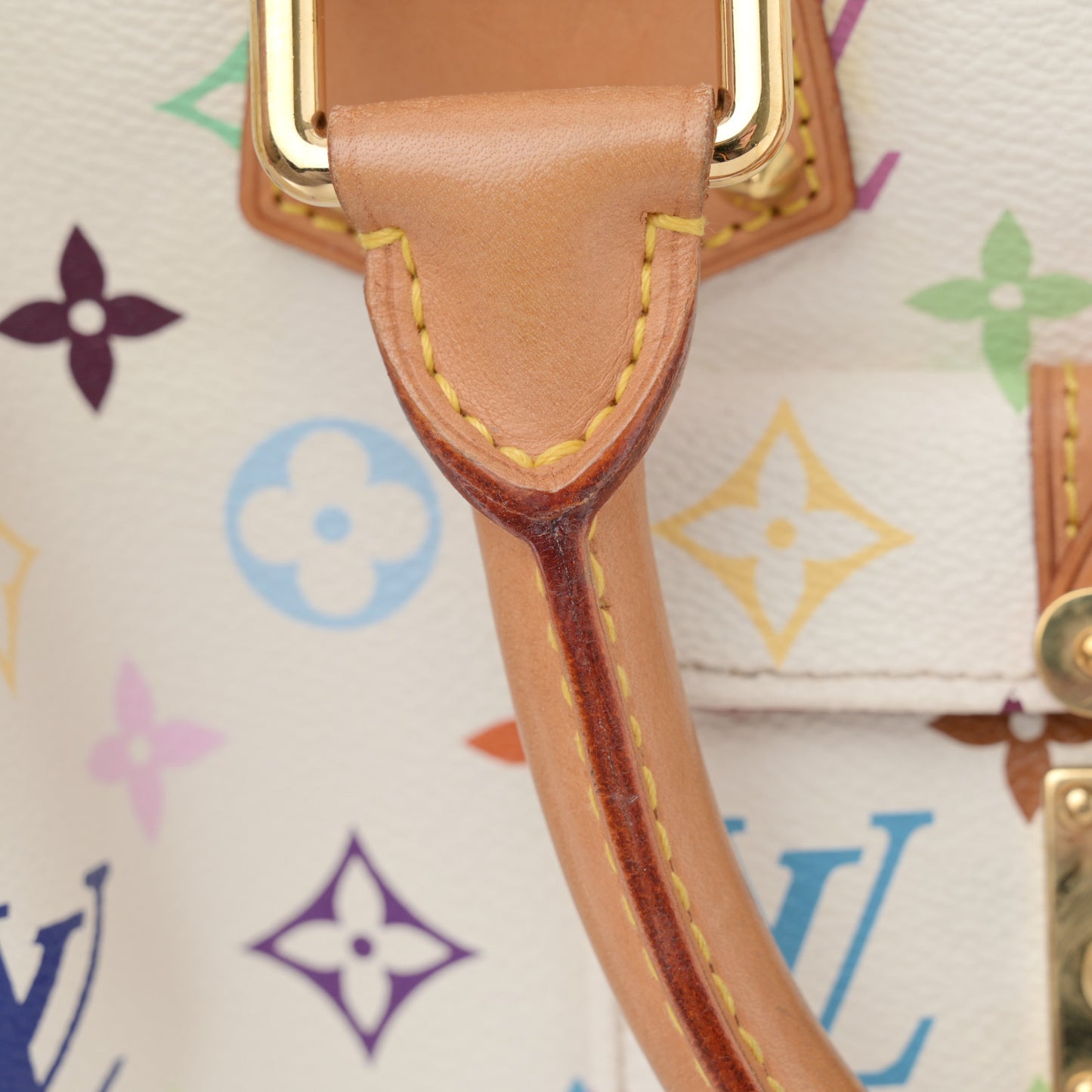 Monogram Multicolor Speedy 30 White
