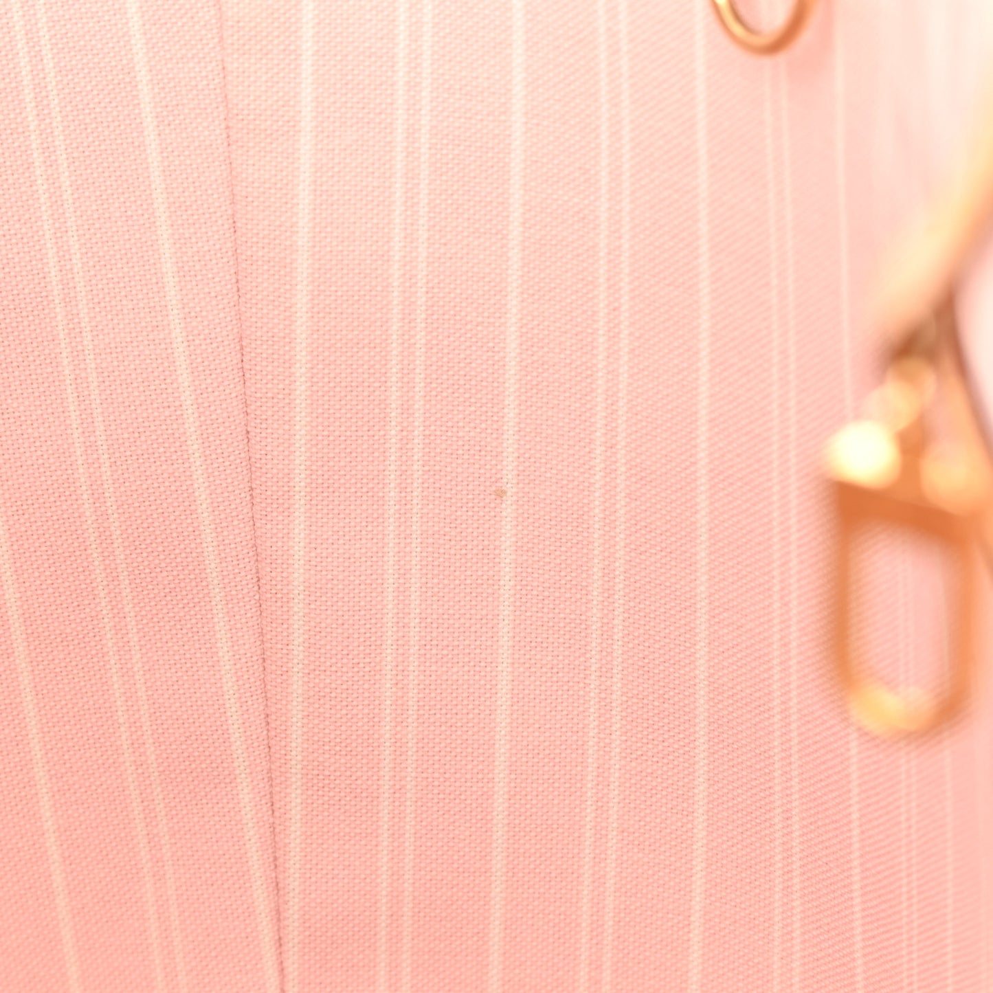 Monogram Giant By The Pool Neverfull MM Light Pink