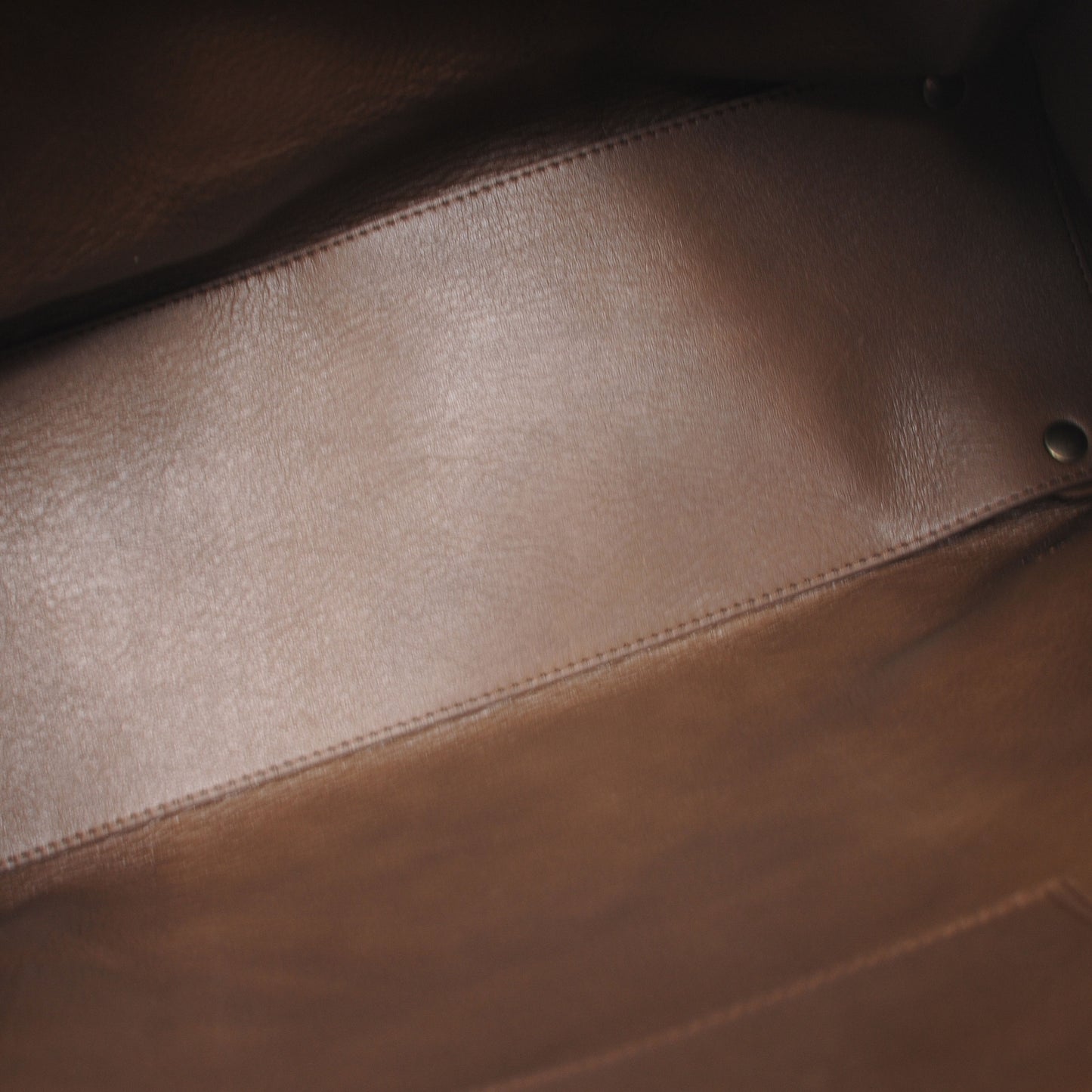 Elaphe Papier Ledger Tote