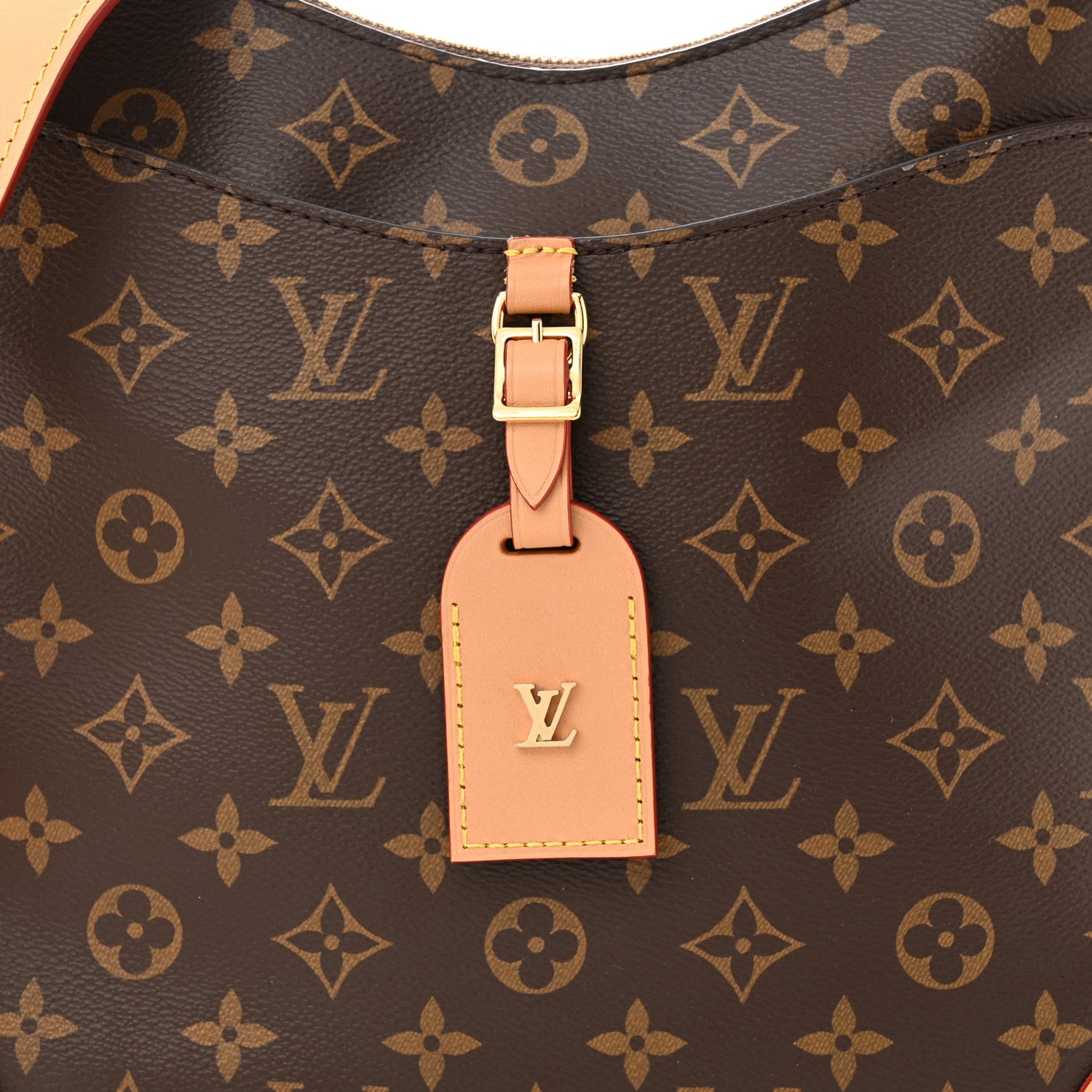 Louis Vuitton Monogram Odeon MM Natural 6 of 10