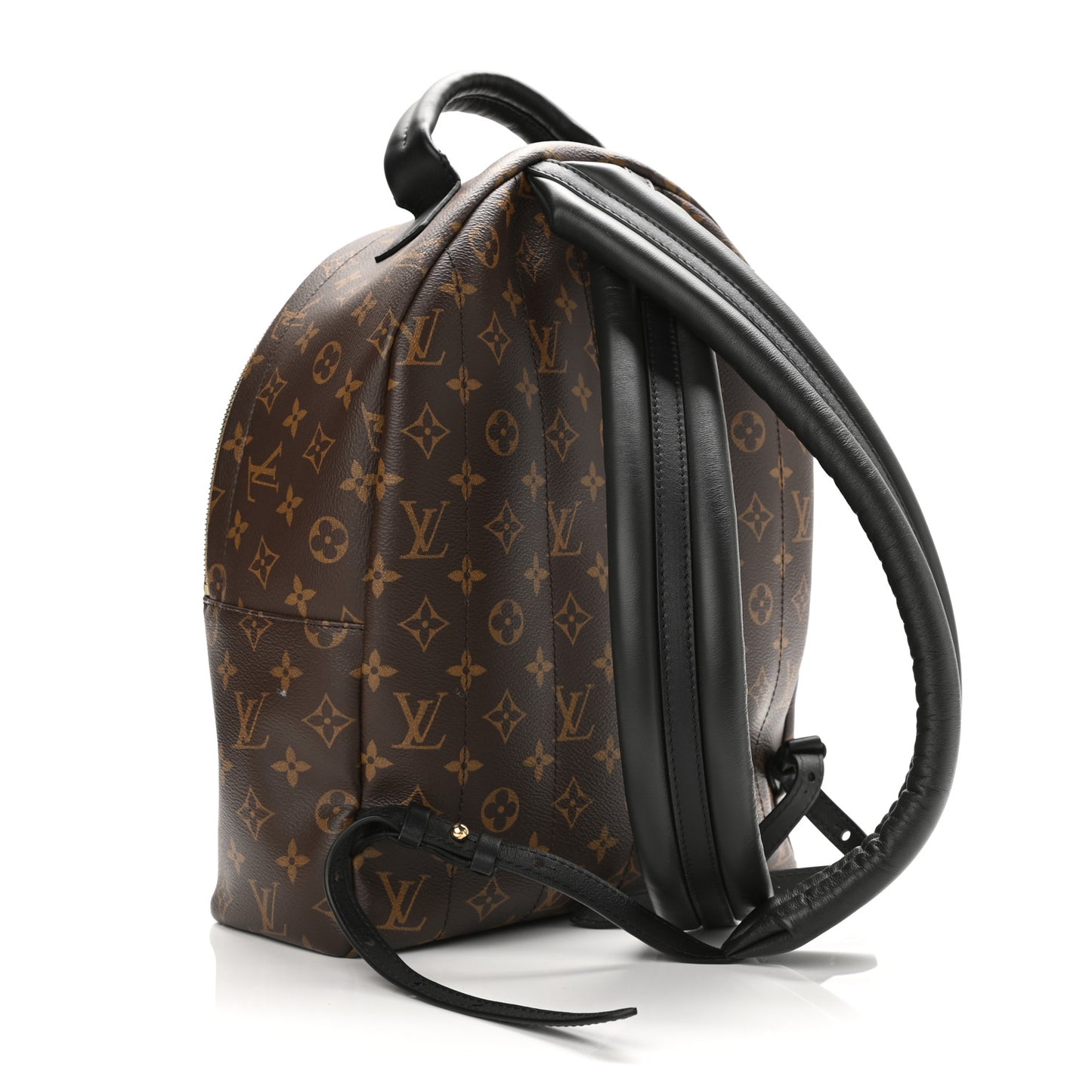 Monogram Palm Springs Backpack MM
