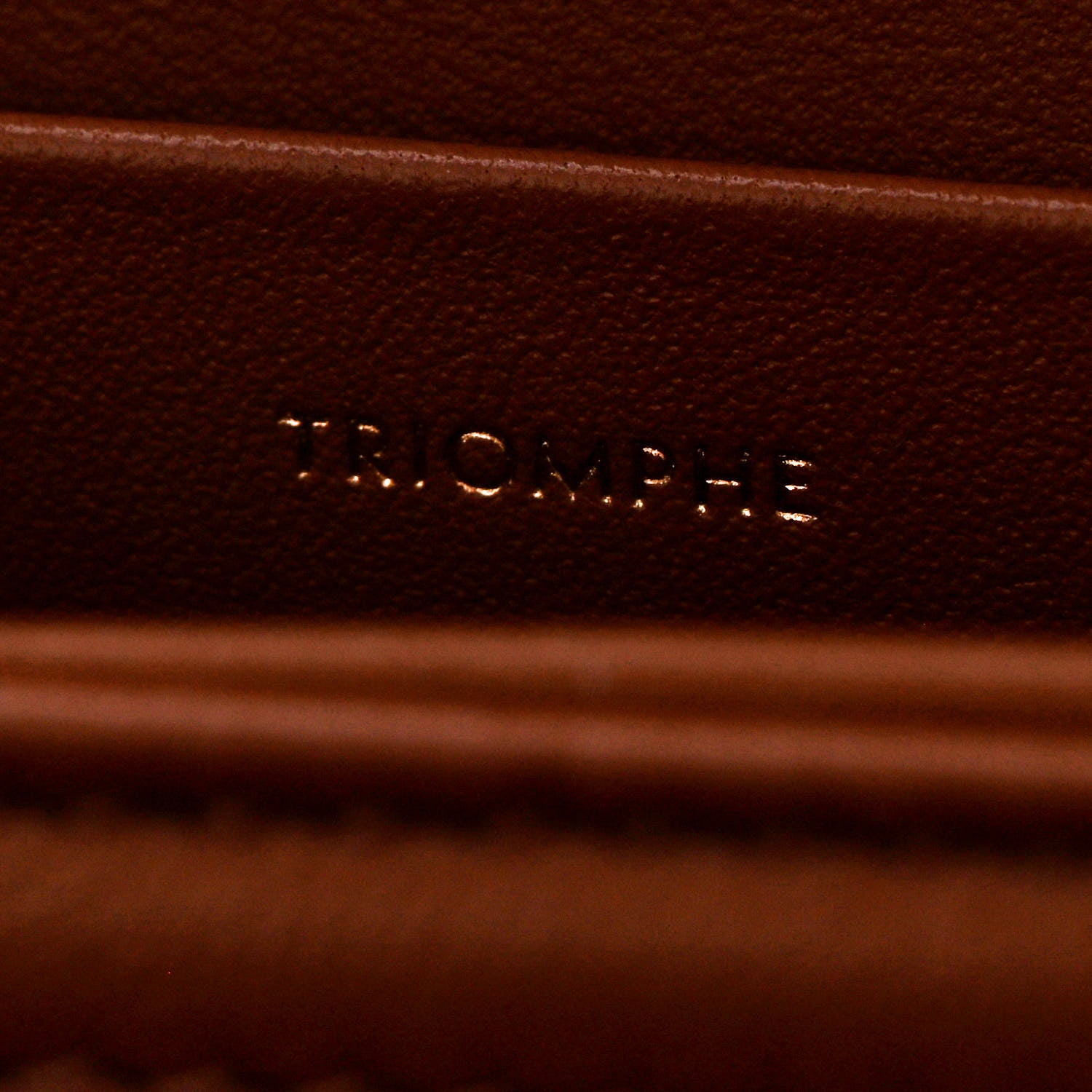 Celine Triomphe Canvas Calfskin Medium Triomphe Bag Tan 8 of 13