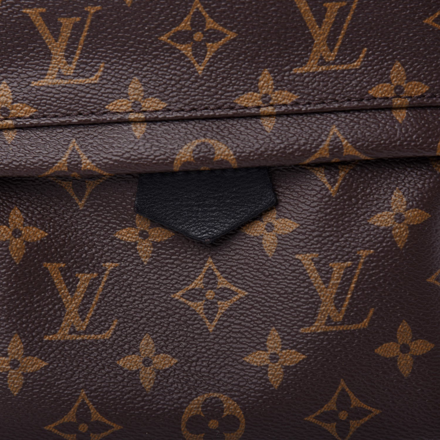 Louis Vuitton Monogram Palm Springs Backpack PM 9 of 9