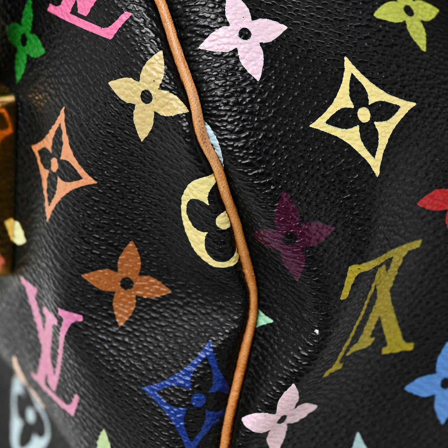 Monogram Multicolor Speedy 30 Black