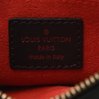 Louis Vuitton Calf Hair Damier Sauvage Tigre 6 of 8