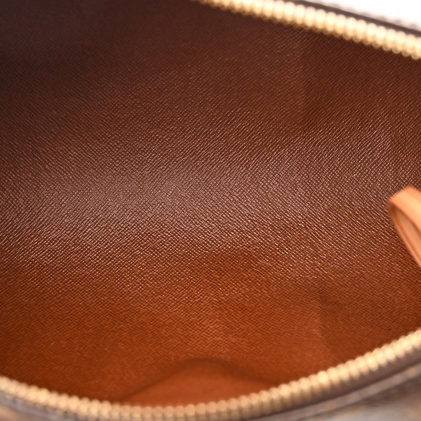 Monogram Papillon 30 With Companion