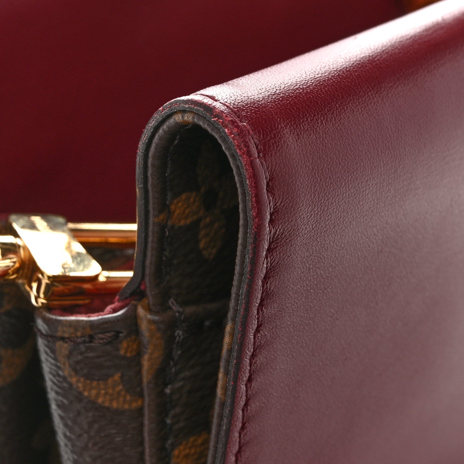 Louis Vuitton Monogram Venus Raisin 10 of 12