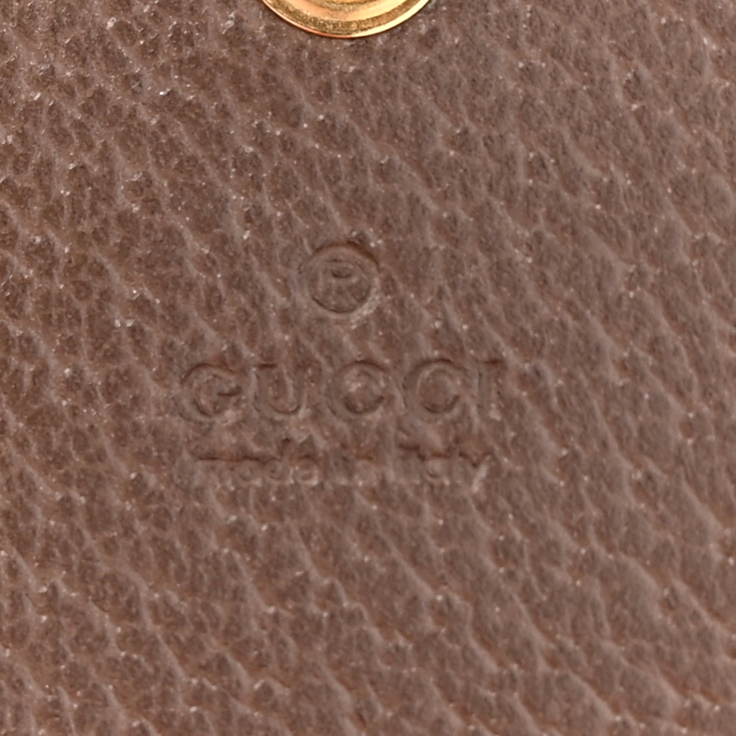 GG Supreme Monogram Ophidia iPad Case Beige New Acero