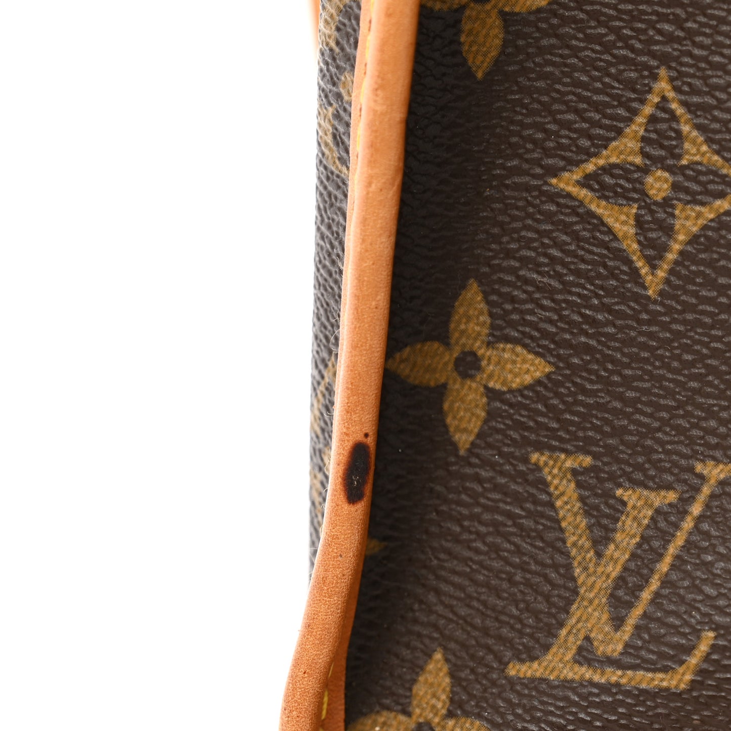 Monogram Sac Chien 50 Pet Carrier