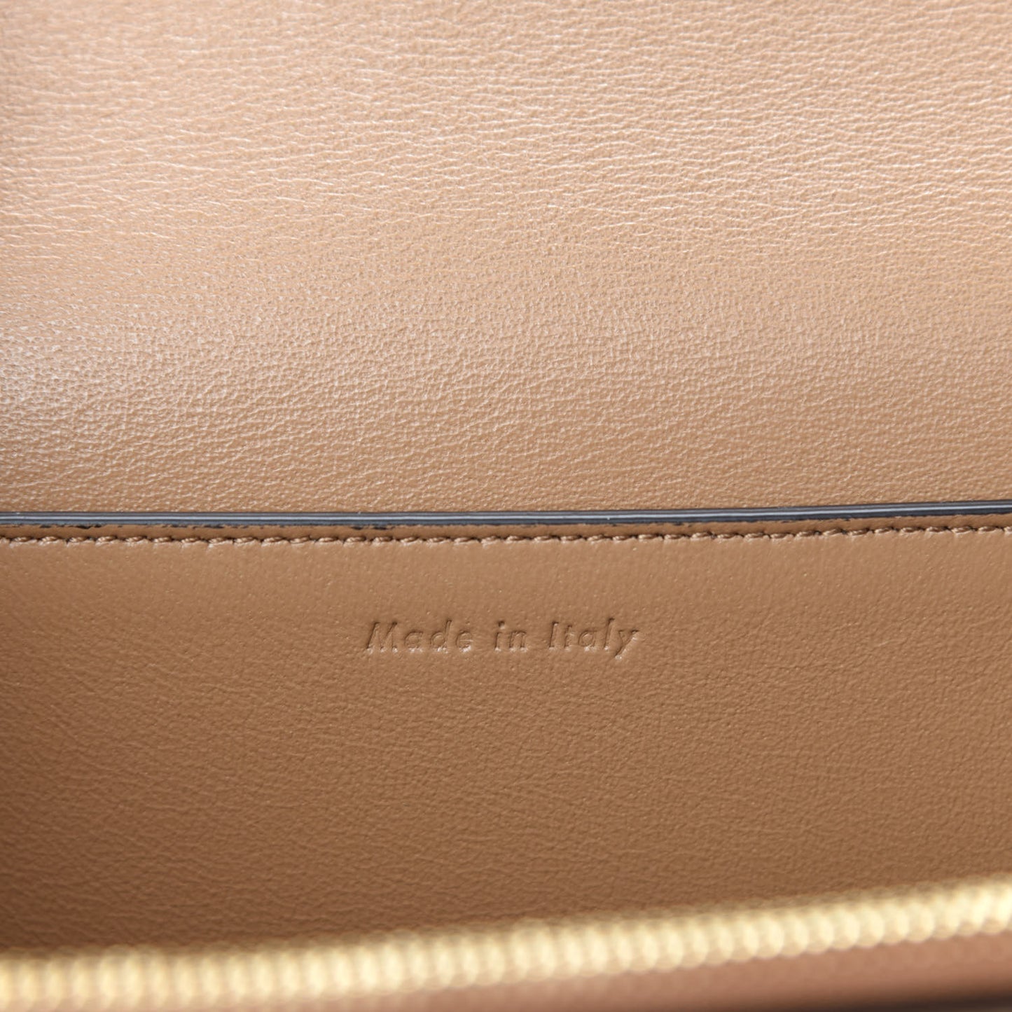 Shiny Smooth Calfskin Medium Frame Shoulder Bag Tan Optic White