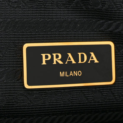 Prada Vitello Phenix Camera Bag Argilla 6 of 10